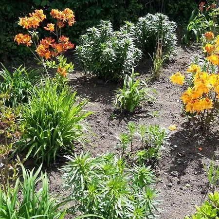 Bed & Breakfast Hobro Bed & Breakfast