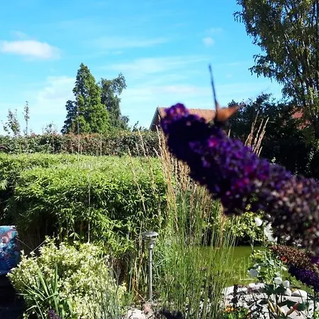 فندق مبيت وإفطار Bed & Breakfast Hobro
